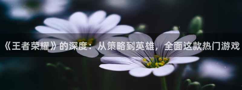 多彩娱乐测速：《王者荣耀》的深度：从策略到英雄，全面这款热门