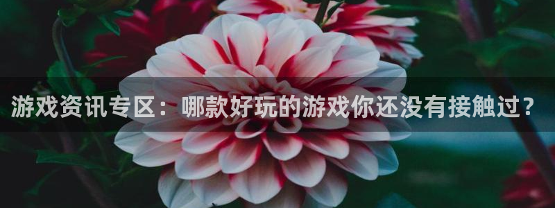 多彩娱乐的意思：游戏资讯专区：哪款好玩的游戏你还没有接触过？