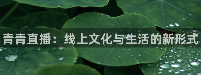178足球免费直播平台官网：青青直播：线上文化与生活的新形式