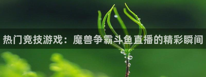 178足球直播高清直播：热门竞技游戏：魔兽争霸斗鱼直播的精彩瞬间