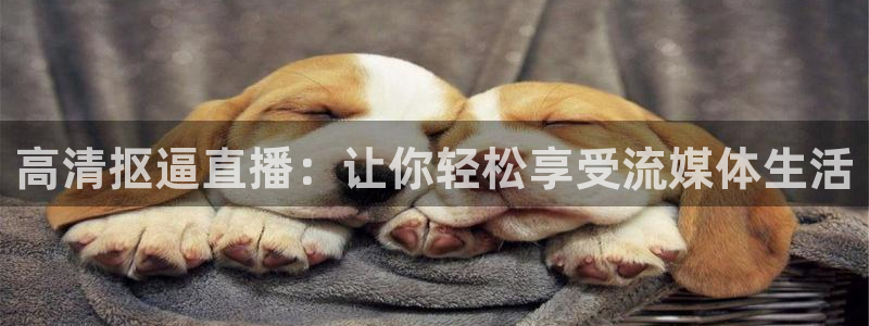 178tyzb2体育直播：高清抠逼直播：让你轻松享受流媒体生活