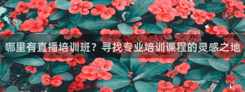 178足球免费直播在线观看：哪里有直播培训班？寻找专业培训课程的灵感之地