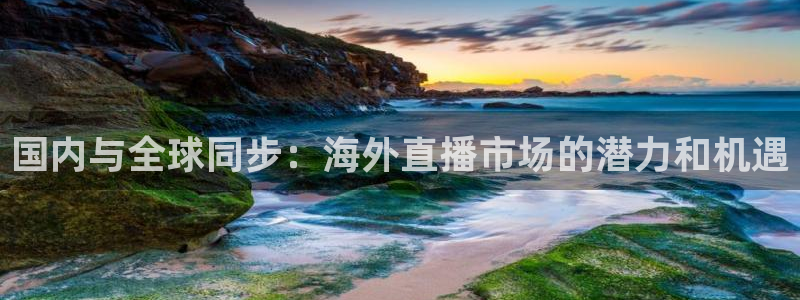 178直播体育直播：国内与全球同步：海外直播市场的潜力和机遇