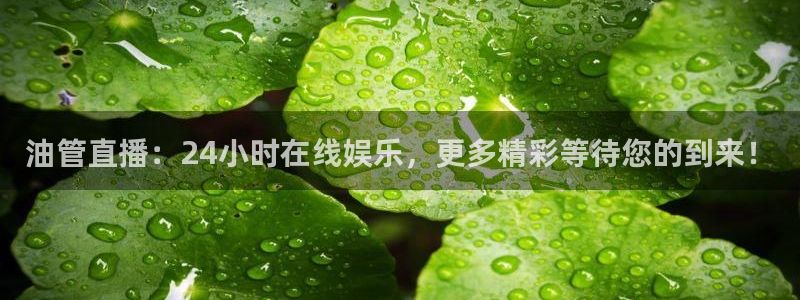 178足球直播免费观看直播：油管直播：24小时在线娱乐，更多精彩等待您的到来！