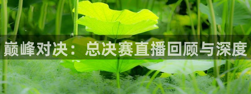 篮球赛事直播178：巅峰对决：总决赛直播回顾与深度
