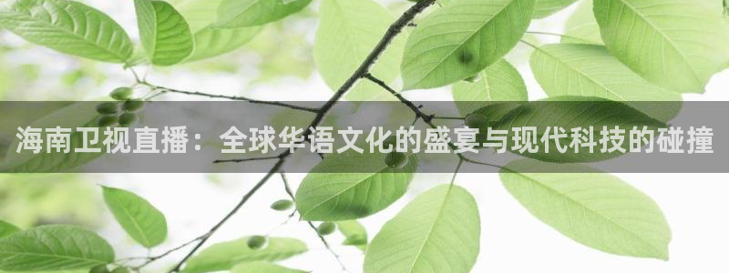 178直播篮球赛事直播：海南卫视直播：全球华语文化的盛宴与现代科技的碰撞