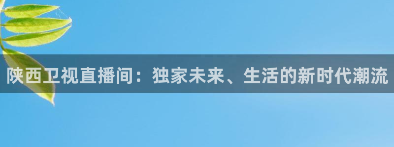 足球直播在线观看免费178：陕西卫视直播间：独家未来、生活的新时代潮流