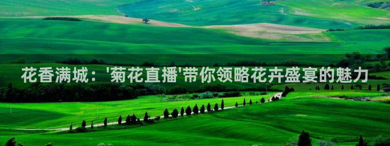 178足球免费高清直播：花香满城：\'菊花直播\'带你领略花卉盛宴的魅力