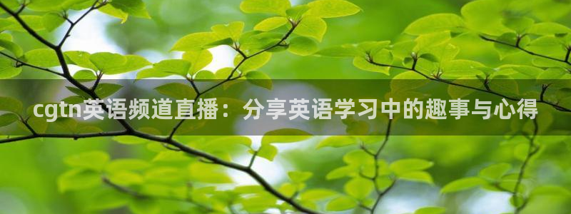 178直播体育在线：cgtn英语频道直播：分享英语学习中的趣事与心得