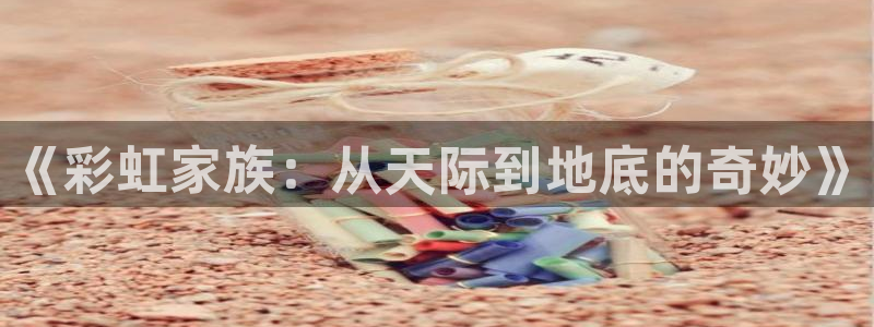 178直播足球免费：《彩虹家族：从天际到地底的奇妙》